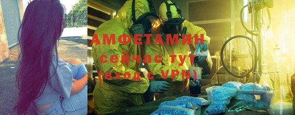 хмурый Алексин