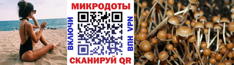 Псилоцибиновые грибы мухоморы  Купить где  Рославль 