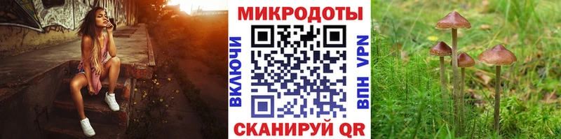 Псилоцибиновые грибы прущие грибы Рославль